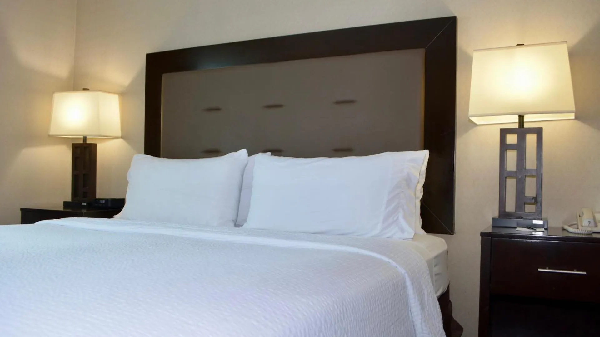 15 Top-Rated Family-Friendly Hotels In New York Metropolitan Area