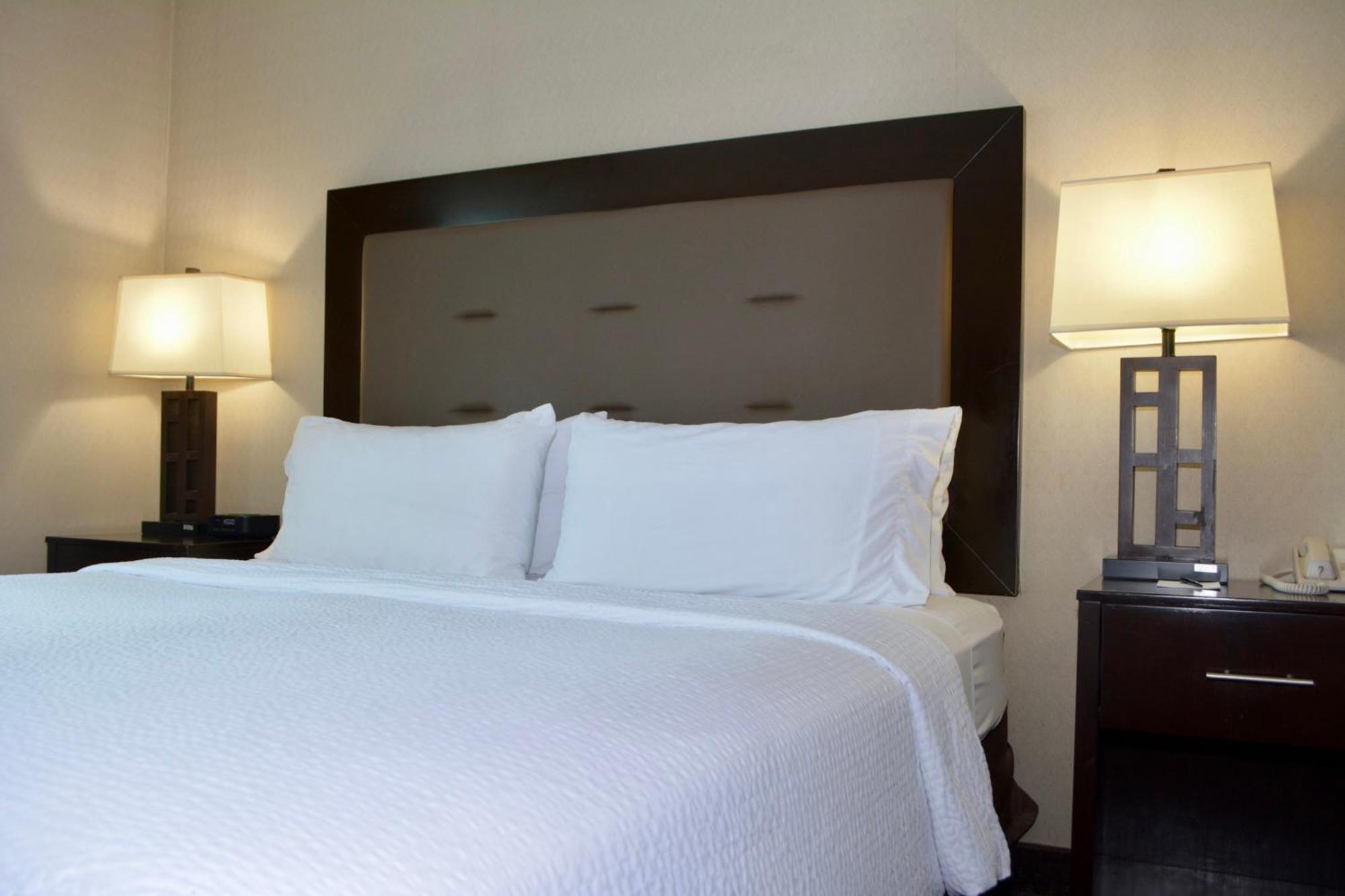 15 Top-Rated Family-Friendly Hotels In New York Metropolitan Area